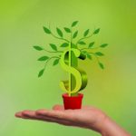 Rolle der Greenwashing von Fonds